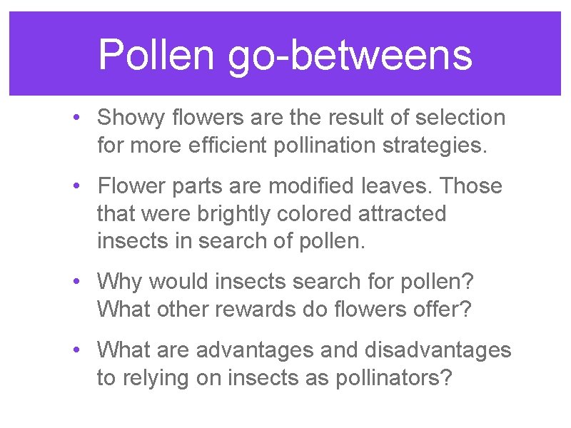 Pollen go-betweens • Showy flowers are the result of selection for more efficient pollination