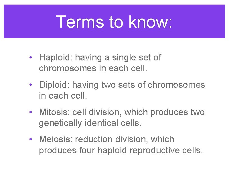 Terms to know: • Haploid: having a single set of chromosomes in each cell. Terms to know: • Haploid: having a single set of chromosomes in each cell.