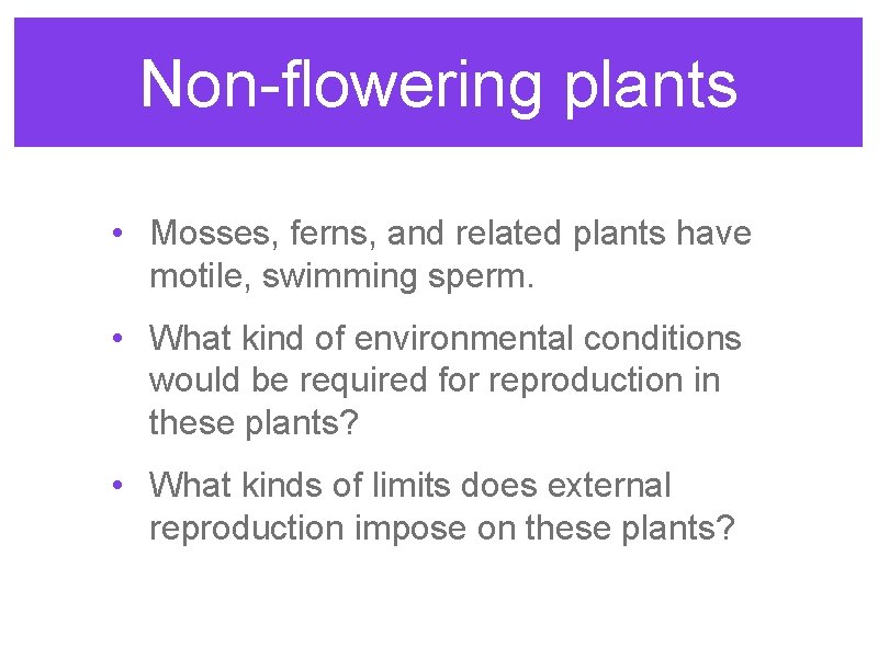 Non-flowering plants • Mosses, ferns, and related plants have motile, swimming sperm. • What