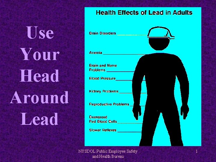 Use Your Head Around Lead NYSDOL Public Employee Safety and Health Bureau 1 