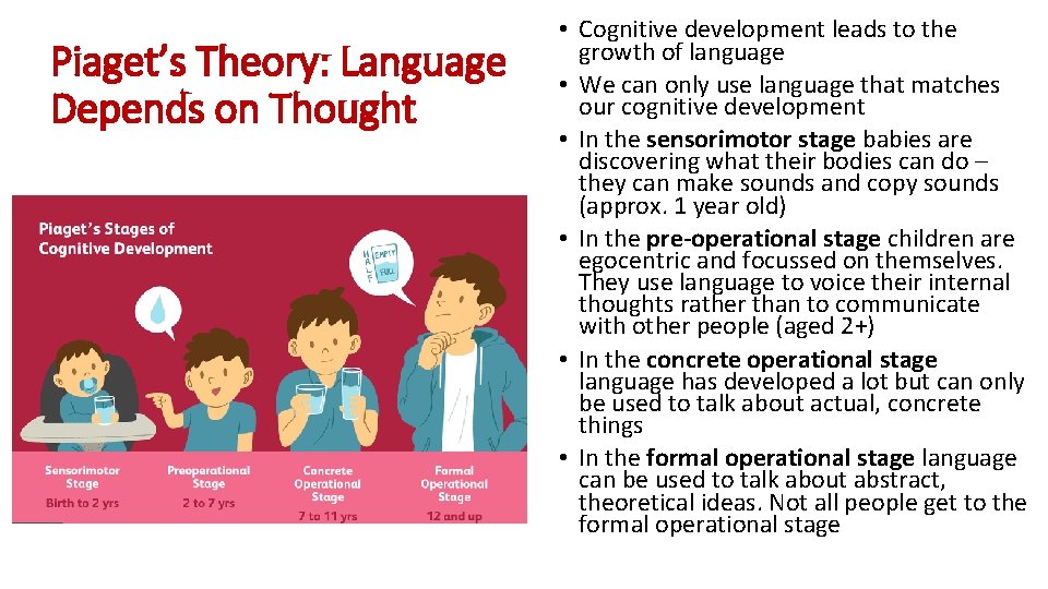 Piaget’s Theory: Language Depends on Thought • Cognitive development leads to the growth of