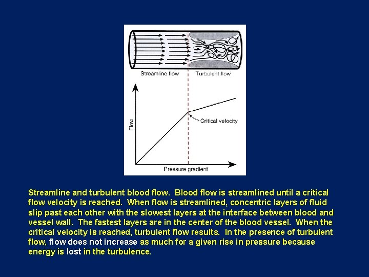 Streamline and turbulent blood flow. Blood flow is streamlined until a critical flow velocity