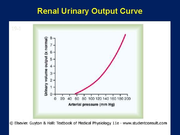 Renal Urinary Output Curve 