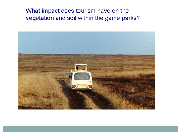 What impact does tourism have on the vegetation and soil within the game parks? What impact does tourism have on the vegetation and soil within the game parks?