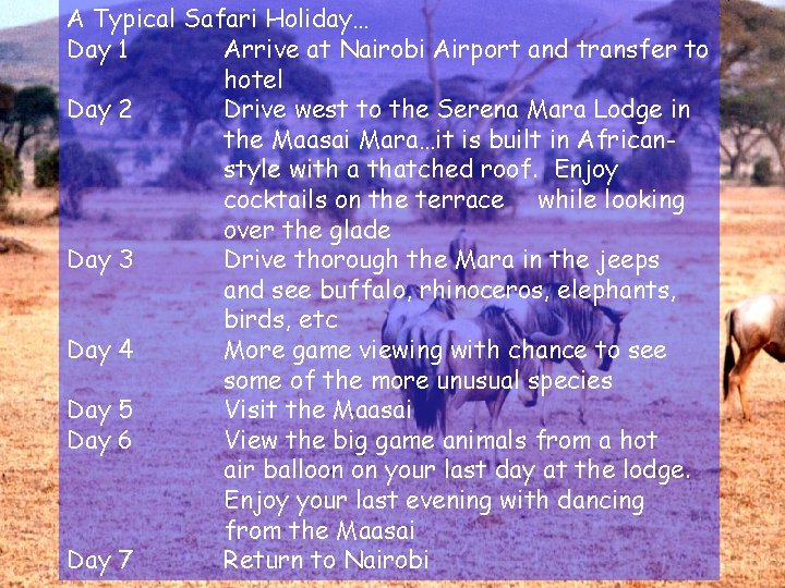 A Typical Safari Holiday… Day 1 Arrive at Nairobi Airport and transfer to hotel