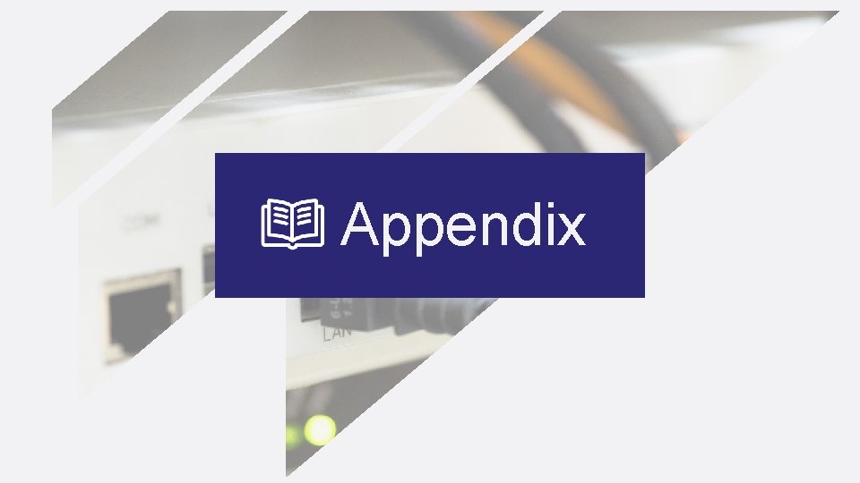 Appendix 