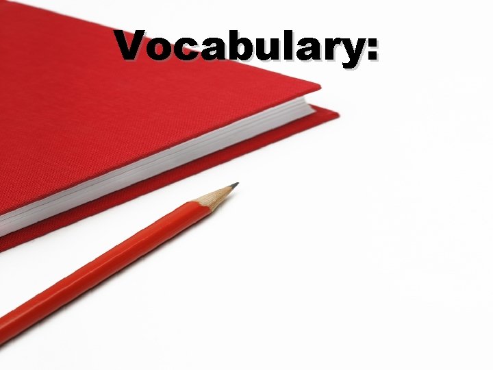 Vocabulary: 
