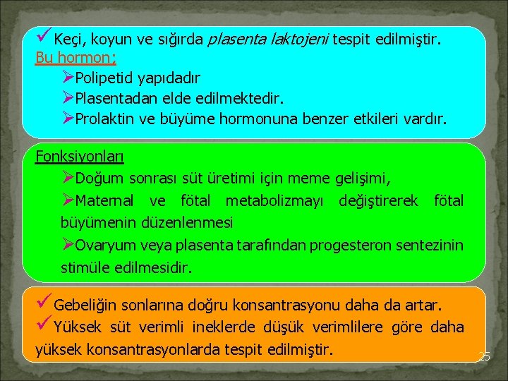 üKeçi, koyun ve sığırda plasenta laktojeni tespit edilmiştir. Bu hormon; ØPolipetid yapıdadır ØPlasentadan elde