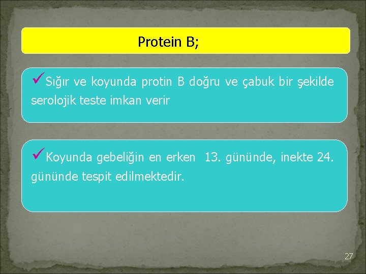 Protein B; üSığır ve koyunda protin B doğru ve çabuk bir şekilde serolojik teste