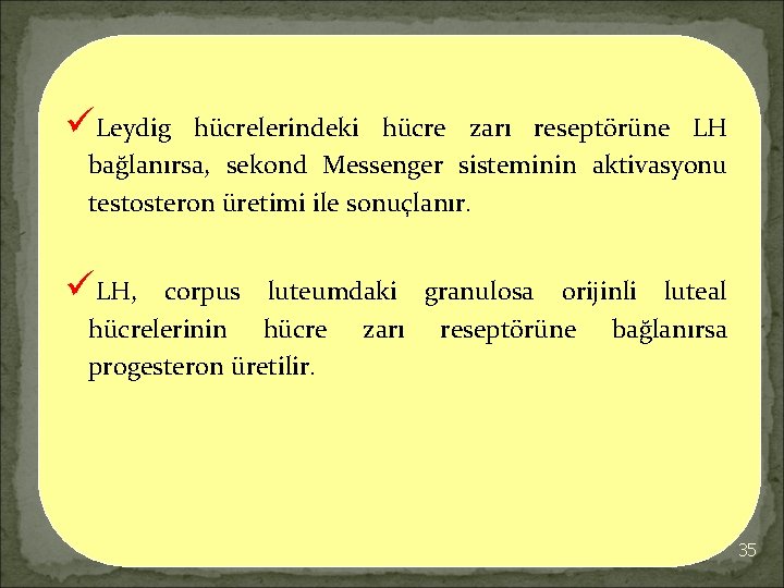 üLeydig hücrelerindeki hücre zarı reseptörüne LH bağlanırsa, sekond Messenger sisteminin aktivasyonu testosteron üretimi ile