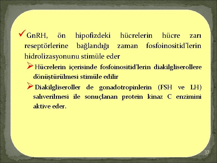 üGn. RH, ön hipofizdeki hücrelerin hücre zarı reseptörlerine bağlandığı zaman fosfoinositid’lerin hidrolizasyonunu stimüle eder