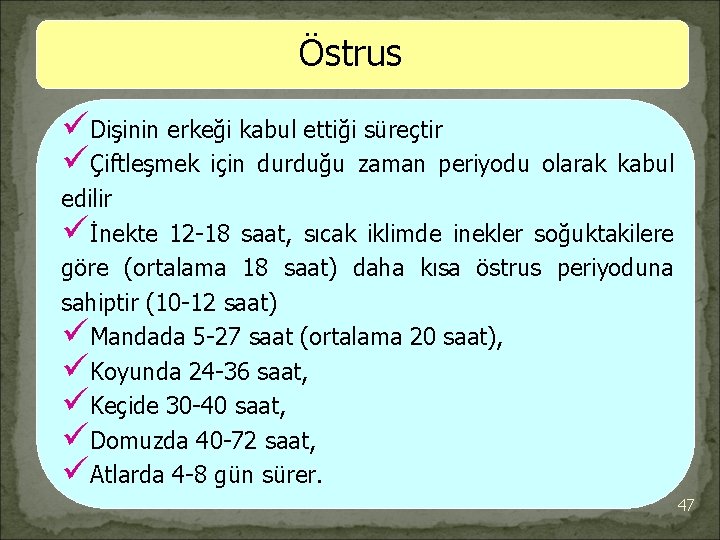 Östrus üDişinin erkeği kabul ettiği süreçtir üÇiftleşmek için durduğu zaman periyodu olarak kabul edilir