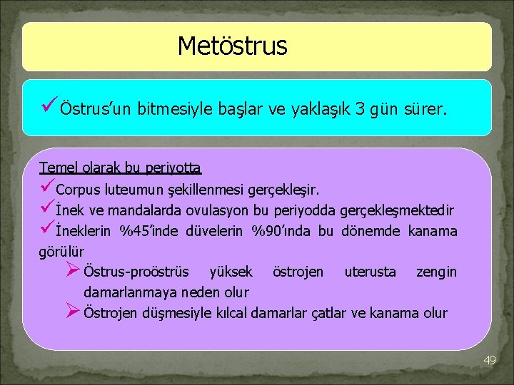 Metöstrus üÖstrus’un bitmesiyle başlar ve yaklaşık 3 gün sürer. Temel olarak bu periyotta üCorpus