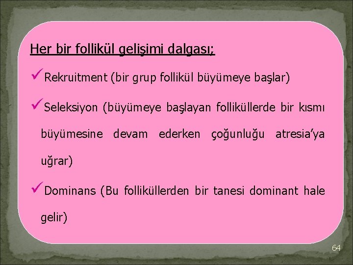 Her bir follikül gelişimi dalgası; üRekruitment (bir grup follikül büyümeye başlar) üSeleksiyon (büyümeye başlayan