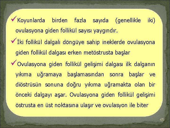 üKoyunlarda birden fazla sayıda (genellikle iki) ovulasyona giden follikül sayısı yaygındır. üİki follikül dalgalı