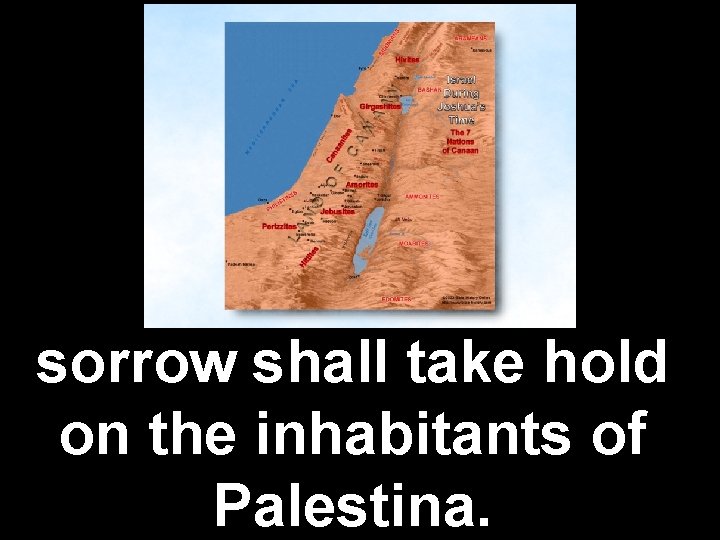 sorrow shall take hold on the inhabitants of Palestina. 