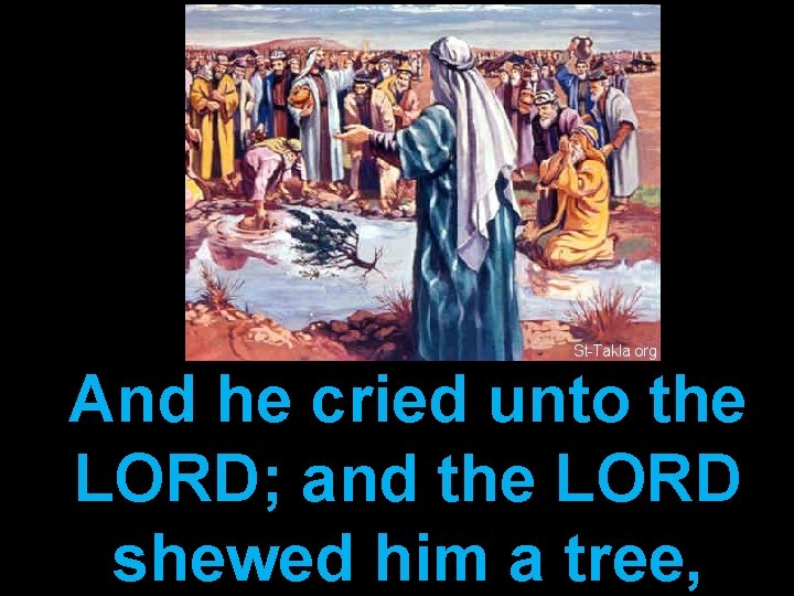 And he cried unto the LORD; and the LORD shewed him a tree, 