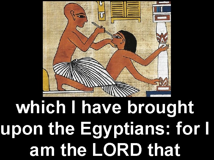 which I have brought upon the Egyptians: for I am the LORD that 