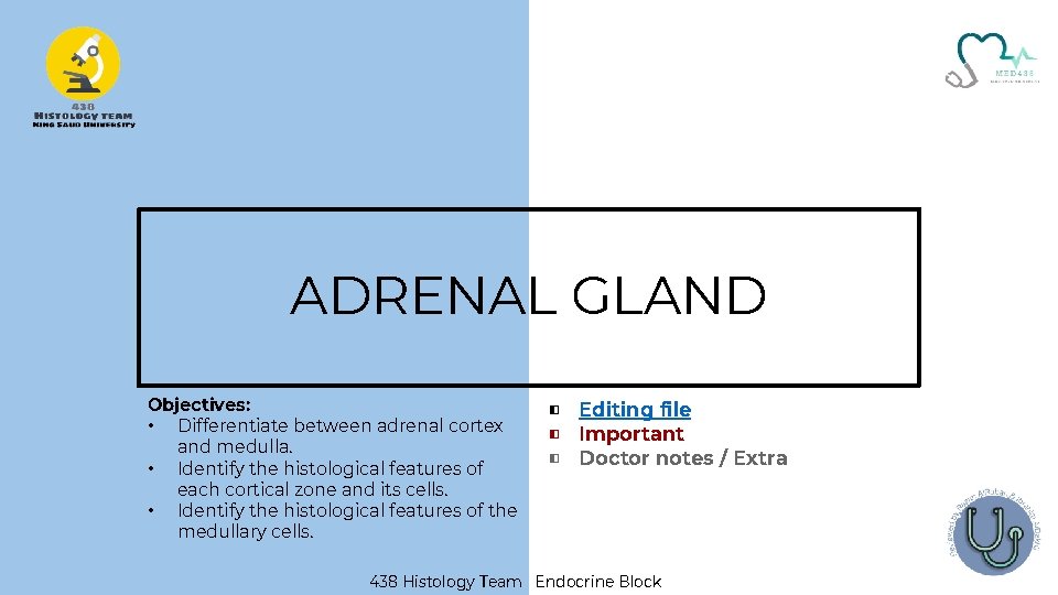 ADRENAL GLAND Objectives: • Differentiate between adrenal cortex and medulla. • Identify the histological