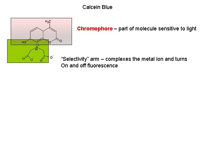 Calcein Blue Chromophore – part of molecule sensitive to light “Selectivity” arm – complexes