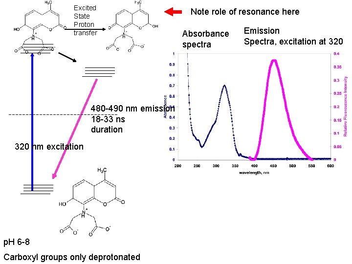 Excited State Proton transfer 480 -490 nm emission 18 -33 ns duration 320 nm Excited State Proton transfer 480 -490 nm emission 18 -33 ns duration 320 nm