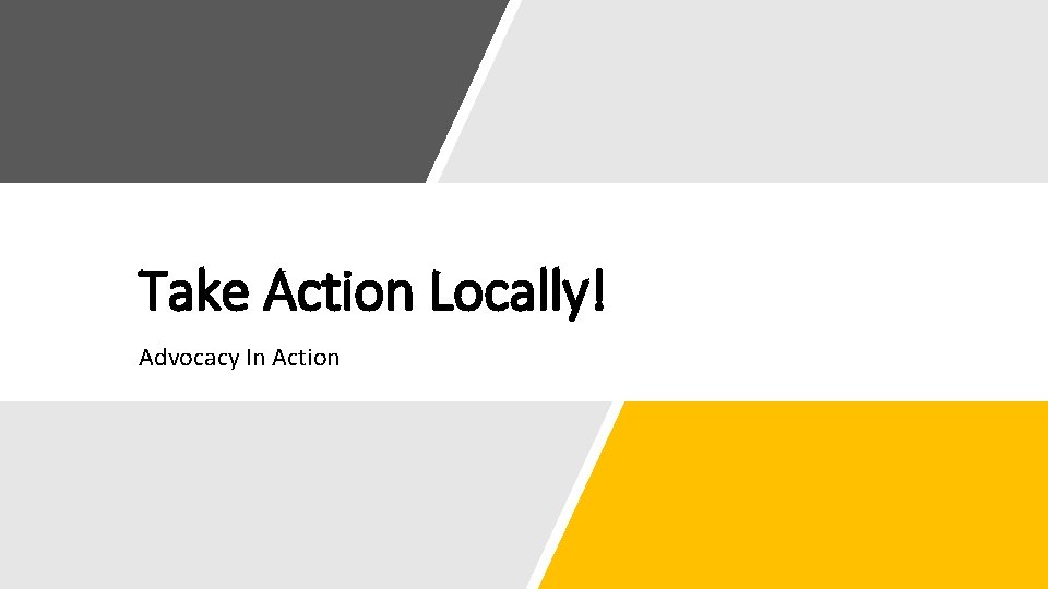 Take Action Locally! Advocacy In Action 
