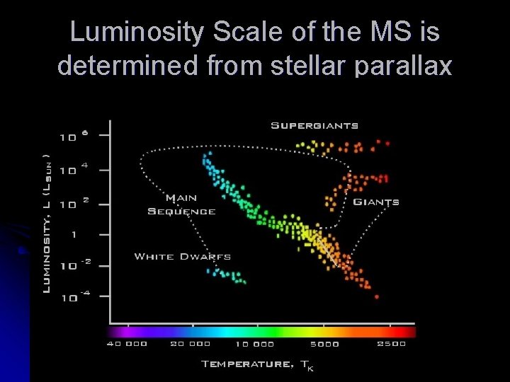 Luminosity Scale of the MS is determined from stellar parallax 