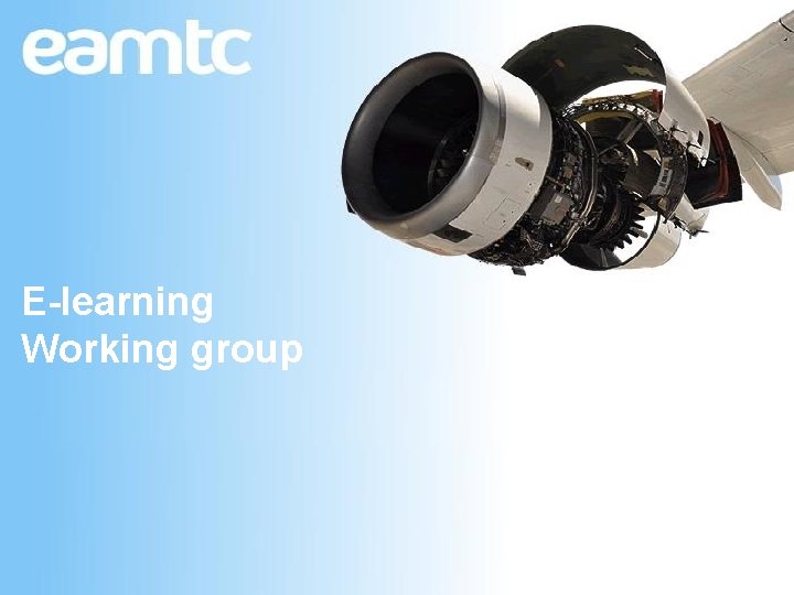 E-learning Working group 