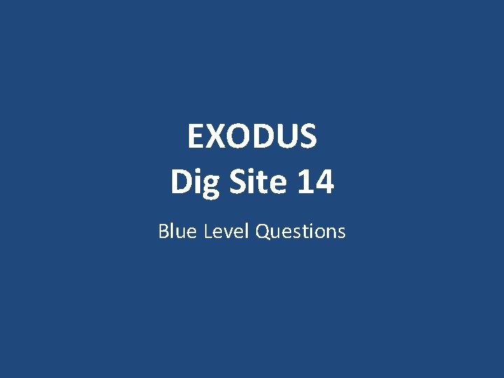 EXODUS Dig Site 14 Blue Level Questions 