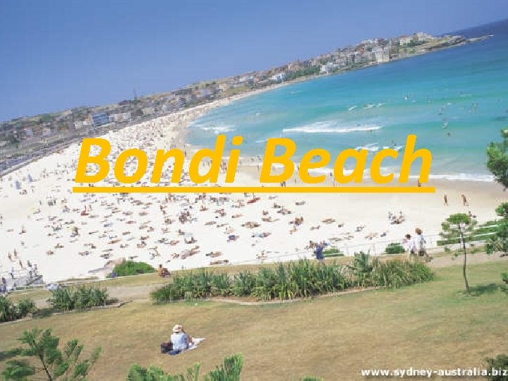 Bondi Beach 