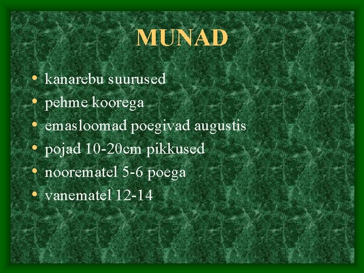 MUNAD • • • kanarebu suurused pehme koorega emasloomad poegivad augustis pojad 10 -20