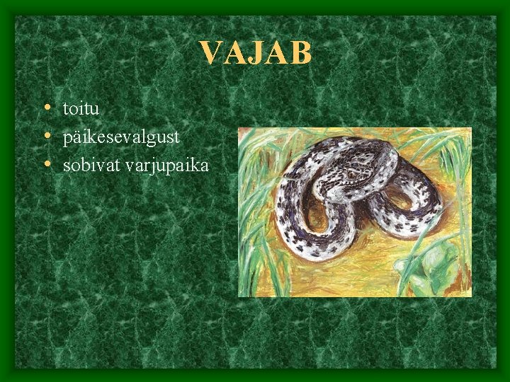 VAJAB • toitu • päikesevalgust • sobivat varjupaika 