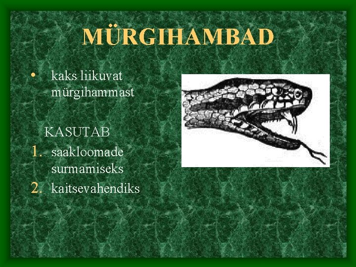 MÜRGIHAMBAD • kaks liikuvat mürgihammast KASUTAB 1. saakloomade surmamiseks 2. kaitsevahendiks 