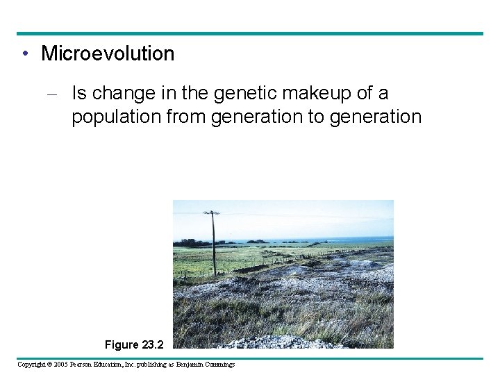  • Microevolution – Is change in the genetic makeup of a population from