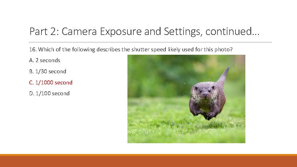 Part 2: Camera Exposure and Settings, continued… 16. Which of the following describes the