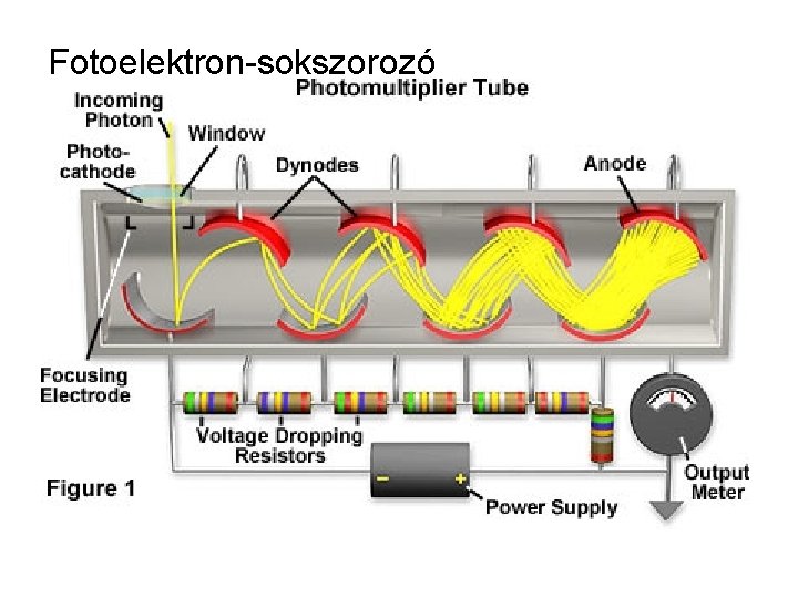 Fotoelektron-sokszorozó. 