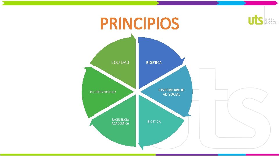 PRINCIPIOS EQUIDAD PLURIDIVERSIDAD EXCELENCIA ACADEMICA BIOETICA RESPONSABILID AD SOCIAL BIOETICA 