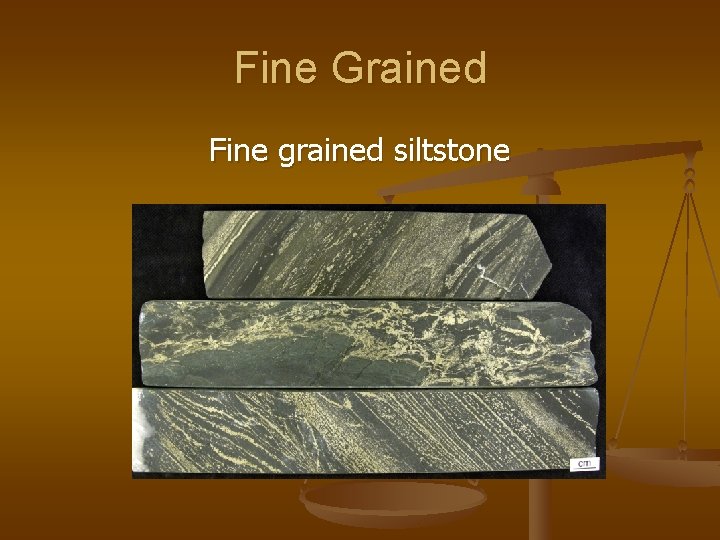 Fine Grained Fine grained siltstone 