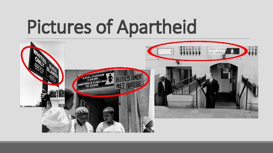 Pictures of Apartheid 