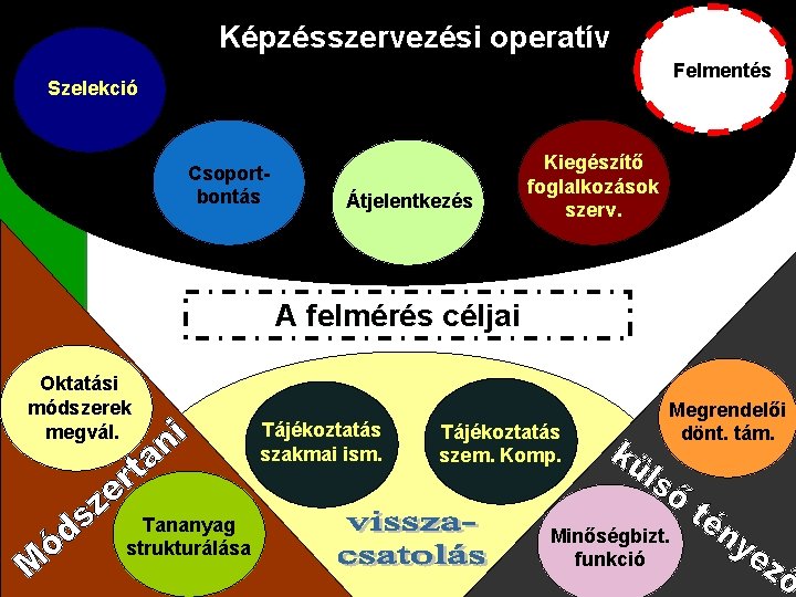 Képzésszervezési operatív Milyen célt szolgálhat a felmérés? Felmentés Szelekció Csoportbontás Átjelentkezés Kiegészítő foglalkozások szerv.