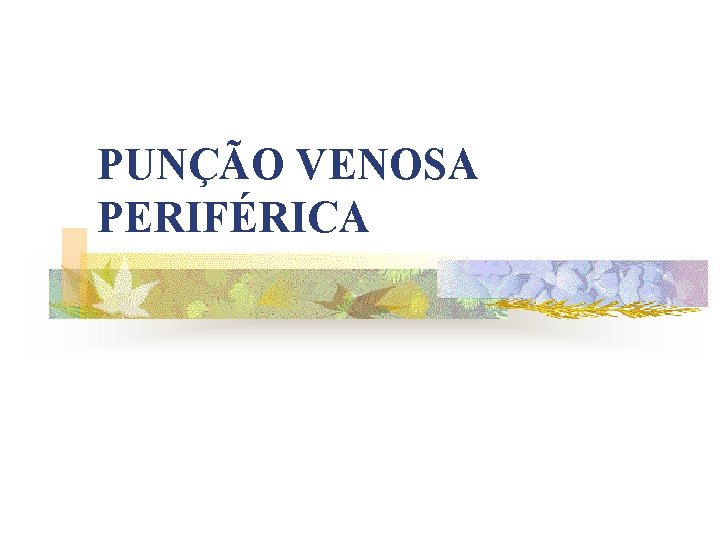 PUNÇÃO VENOSA PERIFÉRICA 