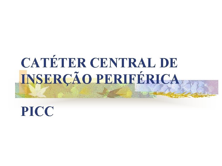 CATÉTER CENTRAL DE INSERÇÃO PERIFÉRICA PICC 