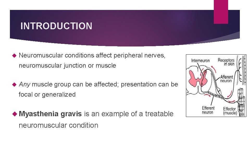 INTRODUCTION Neuromuscular conditions affect peripheral nerves, neuromuscular junction or muscle Any muscle group can