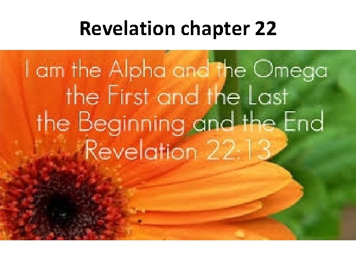 Revelation chapter 22 