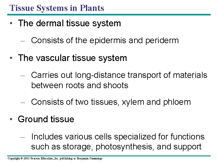 Tissue Systems in Plants • The dermal tissue system – Consists of the epidermis