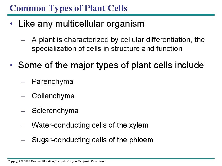 Common Types of Plant Cells • Like any multicellular organism – A plant is