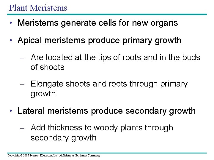 Plant Meristems • Meristems generate cells for new organs • Apical meristems produce primary