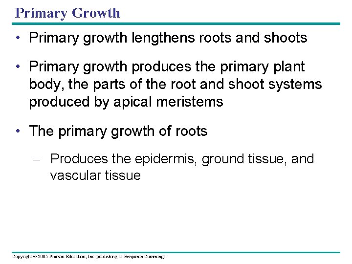 Primary Growth • Primary growth lengthens roots and shoots • Primary growth produces the