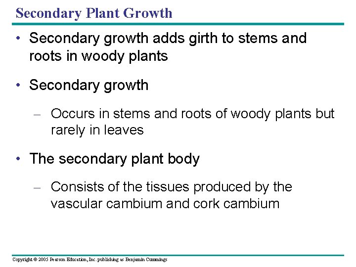 Secondary Plant Growth • Secondary growth adds girth to stems and roots in woody