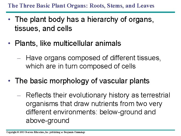 The Three Basic Plant Organs: Roots, Stems, and Leaves • The plant body has